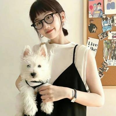 极限特工:终极回归