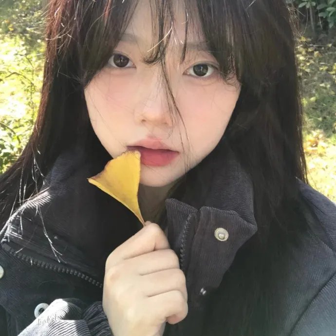 哈伊
